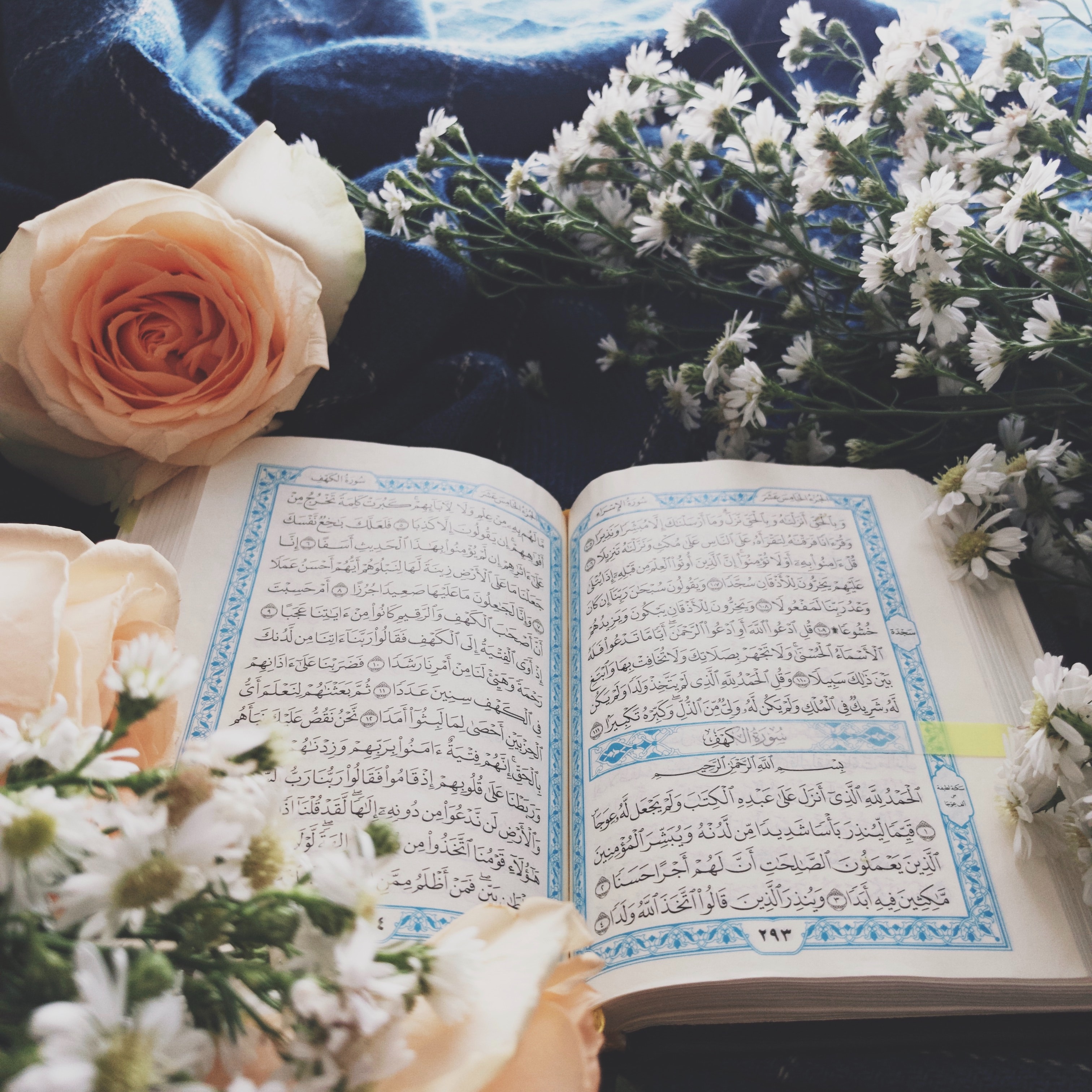 Quran Courses for Knowledge Seekers